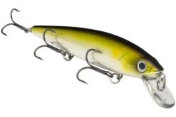 Strike King KVD 300 Series 4 3/4 Inch Suspending Medium Jerkbait -Strike King Shop 12699197145143