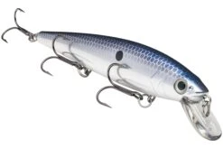 Strike King KVD 300 Series 4 3/4 Inch Suspending Medium Jerkbait -Strike King Shop 12699197177911