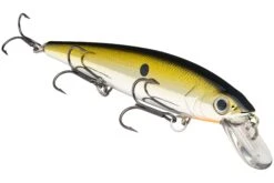 Strike King KVD 300 Series 4 3/4 Inch Suspending Medium Jerkbait -Strike King Shop 12699197210679