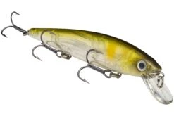 Strike King KVD 300 Series 4 3/4 Inch Suspending Medium Jerkbait -Strike King Shop 12699197276215