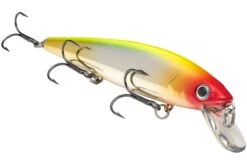 Strike King KVD 300 Series 4 3/4 Inch Suspending Medium Jerkbait -Strike King Shop 12699197341751