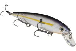Strike King KVD 300 Series 4 3/4 Inch Suspending Medium Jerkbait -Strike King Shop 12699197374519
