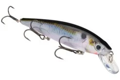 Strike King KVD 300 Series 4 3/4 Inch Suspending Medium Jerkbait -Strike King Shop 12699197505591