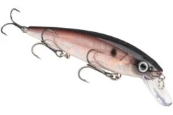 Strike King KVD 300 Series 4 3/4 Inch Suspending Medium Jerkbait -Strike King Shop 12699197603895