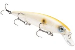 Strike King KVD 300 Series 4 3/4 Inch Suspending Medium Jerkbait -Strike King Shop 12699197669431