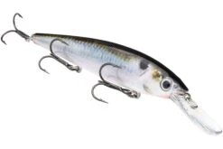 Strike King KVD 300D Series 4 1/2 Inch Deep Diving Jerkbait 29 Strike King KVD 300D Series 4 1/2 Inch Deep Diving Jerkbait -Strike King Shop 12699232206903