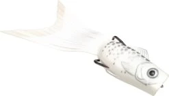 Strike King KVD Pipsqueak Pop'n Perch Hollow Body Topwater Popper -Strike King Shop 12921029263415