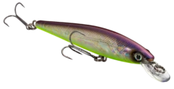 Strike King KVD 100 Series Suspending Shallow Jerkbait 19 Strike King KVD 100 Series Suspending Shallow Jerkbait -Strike King Shop 32272586309721