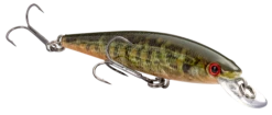 Strike King KVD 100 Series Suspending Shallow Jerkbait 20 Strike King KVD 100 Series Suspending Shallow Jerkbait -Strike King Shop 32272586342489
