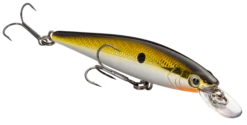 Strike King KVD 100 Series Suspending Shallow Jerkbait 26 Strike King KVD 100 Series Suspending Shallow Jerkbait -Strike King Shop 32272586539097