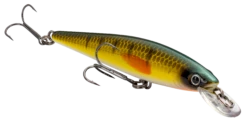 Strike King KVD 100 Series Suspending Shallow Jerkbait 29 Strike King KVD 100 Series Suspending Shallow Jerkbait -Strike King Shop 32272586637401