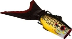 Strike King KVD Popping Perch 11 Strike King KVD Popping Perch -Strike King Shop 40644599349336