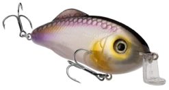 Strike King Hybrid Hunter Jr. Crankbait 26 Strike King Hybrid Hunter Jr. Crankbait -Strike King Shop 40920906334296