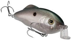 Strike King Hybrid Hunter Jr. Crankbait 33 Strike King Hybrid Hunter Jr. Crankbait -Strike King Shop 40920906563672