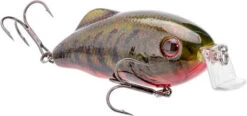 Strike King Hybrid Hunter Jr. Crankbait 36 Strike King Hybrid Hunter Jr. Crankbait -Strike King Shop 40920906661976