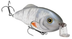 Strike King Hybrid Hunter Jr. Crankbait 38 Strike King Hybrid Hunter Jr. Crankbait -Strike King Shop 40920906727512