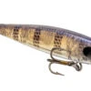 Strike King Bitsy Jerkbait