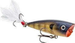 Strike King Bitsy Splash Topwater Popper -Strike King Shop 40923236958296