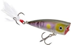 Strike King Bitsy Splash Topwater Popper -Strike King Shop 40923237056600