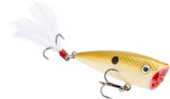 Strike King Bitsy Splash Topwater Popper -Strike King Shop 40923237154904