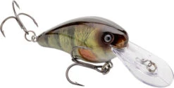 Strike King Gravel Dawg 8 Crankbait - 3.5 Inch 39 Strike King Gravel Dawg 8 Crankbait - 3.5 Inch -Strike King Shop 40987189149784