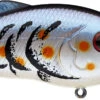 Strike King Hybrid Hunter Jr Shallow Crankbait