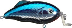 Strike King Hybrid Hunter Jr Shallow Crankbait -Strike King Shop 41432016322648