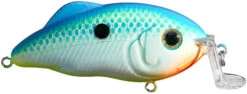 Strike King Hybrid Hunter Jr Shallow Crankbait -Strike King Shop 41432016355416
