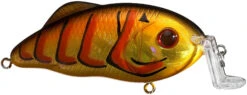 Strike King Hybrid Hunter Jr Shallow Crankbait -Strike King Shop 41432016584792