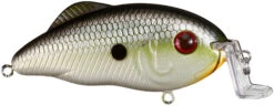 Strike King Hybrid Hunter Jr Shallow Crankbait -Strike King Shop 41432016683096