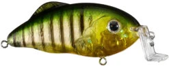 Strike King Hybrid Hunter Jr Shallow Crankbait -Strike King Shop 41432016748632