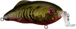 Strike King Hybrid Hunter Jr Shallow Crankbait -Strike King Shop 41432016781400