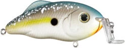 Strike King Hybrid Hunter Jr Shallow Crankbait -Strike King Shop 41432016814168