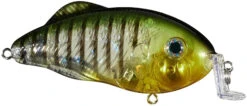 Strike King Hybrid Hunter Shallow Crankbait 38 Strike King Hybrid Hunter Shallow Crankbait -Strike King Shop 41432087199832