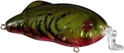 Strike King Hybrid Hunter Shallow Crankbait 39 Strike King Hybrid Hunter Shallow Crankbait -Strike King Shop 41432087232600