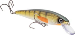 Strike King KVD Elite 200 Series Jerkbait - 4.5 Inch -Strike King Shop 41432197562456