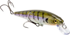 Strike King KVD Elite 200 Series Jerkbait - 4.5 Inch -Strike King Shop 41432197595224