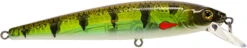 Strike King KVD Elite 200 Series Jerkbait - 4.5 Inch -Strike King Shop 41432197627992