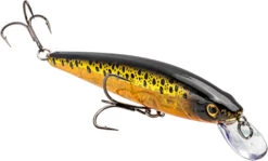 Strike King KVD Elite 200 Series Jerkbait - 4.5 Inch -Strike King Shop 41432197660760