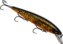 Strike King KVD Elite 300 Series Jerkbait - 4.75 Inches -Strike King Shop 41432203952216