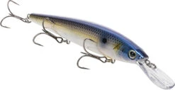 Strike King KVD Deep Elite 300 Series Jerkbait - 4.75 Inches -Strike King Shop 41432210964568