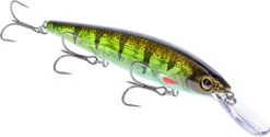 Strike King KVD Deep Elite 300 Series Jerkbait - 4.75 Inches -Strike King Shop 41432211062872