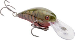 Strike King Gravel Dawg 10 Crankbait - 3.5 Inch 31 Strike King Gravel Dawg 10 Crankbait - 3.5 Inch -Strike King Shop 42365096558680