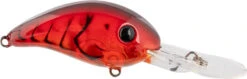 Strike King 3XD Elite Series Crankbait - 2 Inch 19 Strike King 3XD Elite Series Crankbait - 2 Inch -Strike King Shop 42457937510488