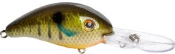 Strike King 3XD Elite Series Crankbait - 2 Inch 22 Strike King 3XD Elite Series Crankbait - 2 Inch -Strike King Shop 42457937608792