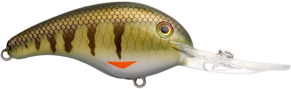 Strike King 5XD Elite Series Crankbait - 2.5 Inch 6 Strike King 5XD Elite Series Crankbait - 2.5 Inch - Image 6