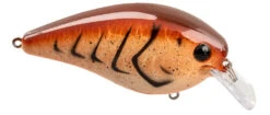 Strike King KVD Elite 1.5 Squarebill Crankbait - 2.25 Inch -Strike King Shop 42462358077528