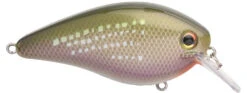 Strike King KVD Elite 1.5 Squarebill Crankbait - 2.25 Inch -Strike King Shop 42462358241368