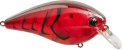 Strike King KVD Elite 1.5 Squarebill Crankbait - 2.25 Inch -Strike King Shop 42462358274136