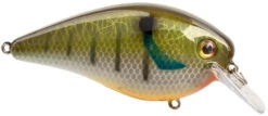 Strike King KVD Elite 1.5 Squarebill Crankbait - 2.25 Inch -Strike King Shop 42462358372440